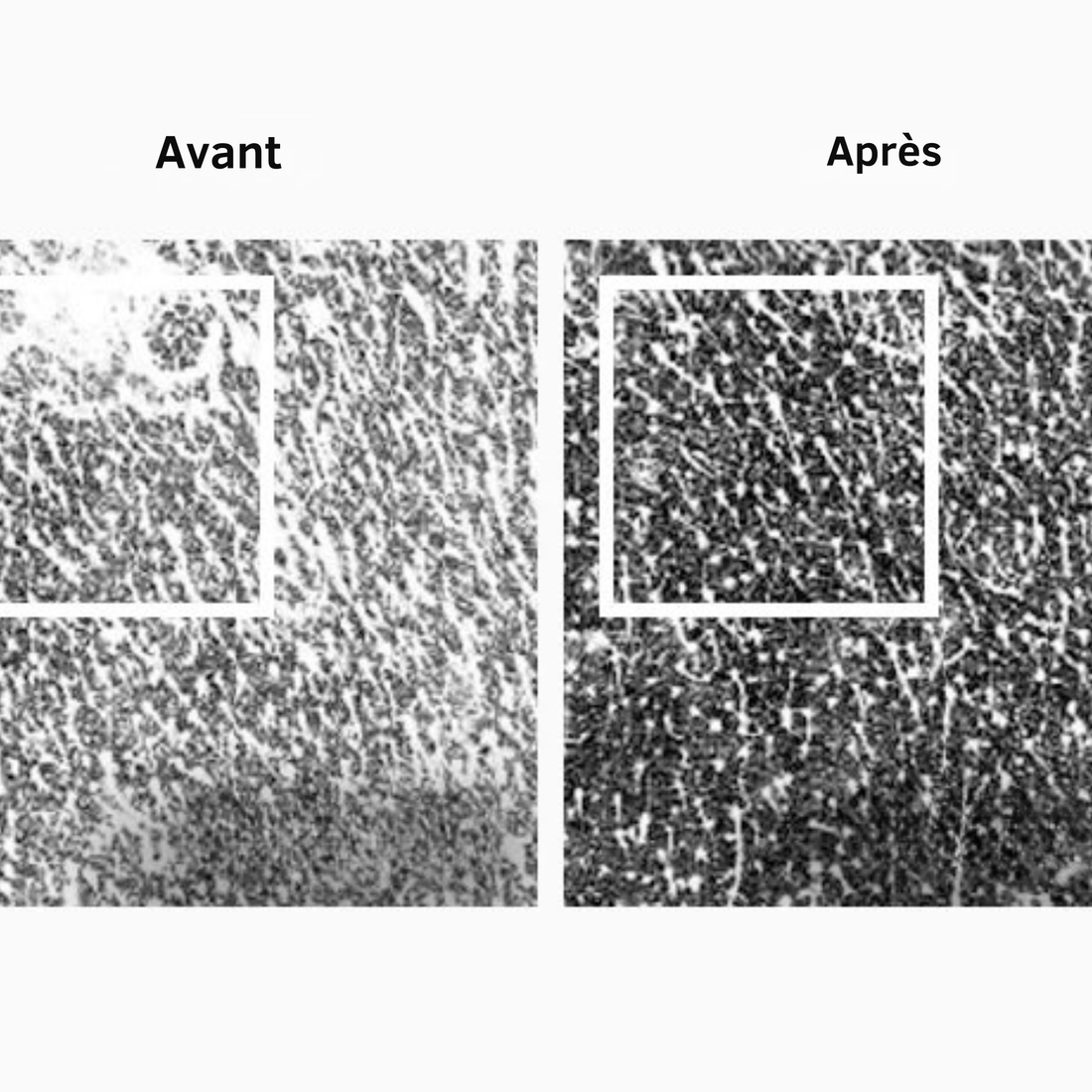 Sichtbar mit Feuchtigkeit versorgtere Haut in 4 Wochen